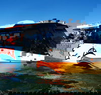 Express Jet Boat Ride  Aquaduck - Attractions Brisbane
