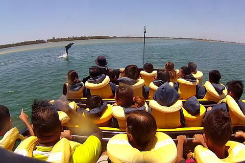 Express Jet Boat Ride + Aquaduck - Attractions Brisbane 4