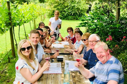 Mount Tamborine Wine Tasting Tour From Brisbane Or The Gold Coast - Attractions Brisbane 5