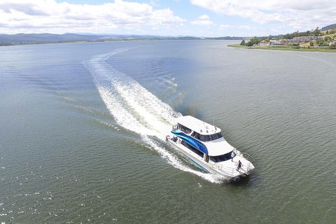2.5 Hour Morning Discovery Cruise Including Sailing Into The Cataract Gorge - Attractions Brisbane 2