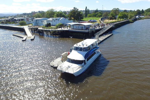 2.5 Hour Morning Discovery Cruise Including Sailing Into The Cataract Gorge - Attractions Brisbane 3