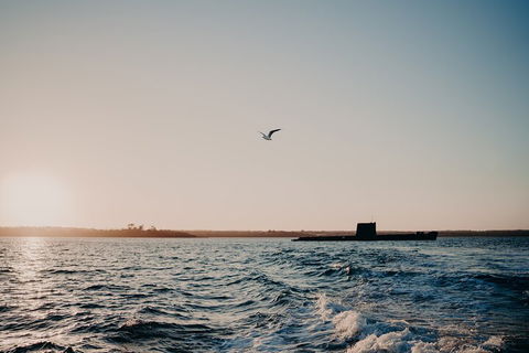 Phillip Island Twilight Cruise - Attractions Brisbane 1