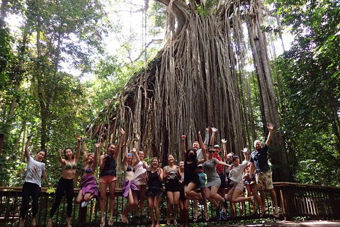 Atherton Tablelands Waterfalls Tour From Cairns - Attractions Brisbane 5