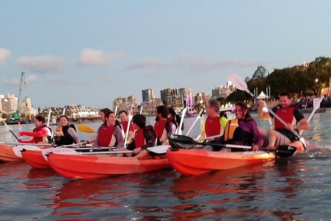 Brisbane River Guided Evening Tour By Kayak - Our Most Popular Tour - Attractions Brisbane 0