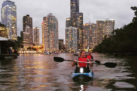 Brisbane River Guided Evening Tour By Kayak - Our Most Popular Tour - Attractions Brisbane 3