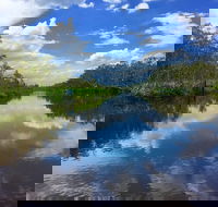 Noosa Everglades Serenity Cruise  Highlights Tour Inc. Lunch  Cruise - Attractions Brisbane