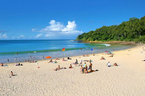 Noosa Everglades Serenity Cruise & Highlights Tour Inc. Lunch & Cruise - Attractions Brisbane 4