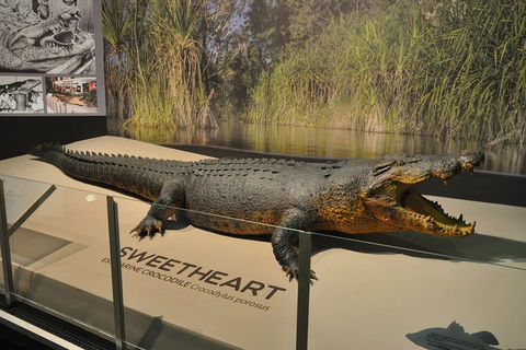 Explore Darwin City Sights Including Key Attractions - Attractions Brisbane 2