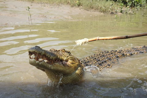 Litchfield And Jumping Crocodiles Full Day Trip From Darwin - Attractions Brisbane 4