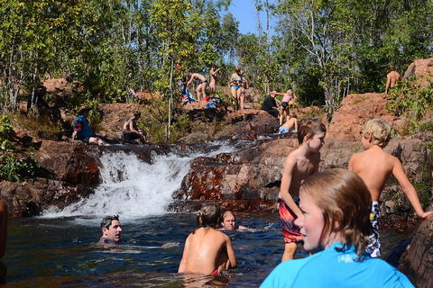 Litchfield And Jumping Crocodiles Full Day Trip From Darwin - Attractions Brisbane 5