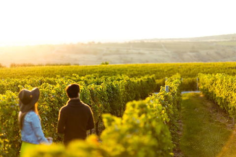 Margaret River Private Tour - Attractions Brisbane 2