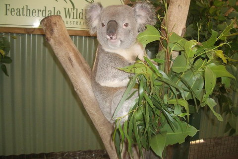 Blue Mountains Private Full-Day Tour From Sydney With Cruise - Attractions Brisbane 0