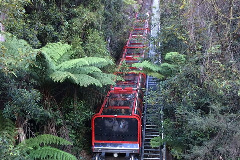 Blue Mountains Private Full-Day Tour From Sydney With Cruise - Attractions Brisbane 5