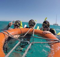 Full-Day Great Barrier Reef Sailing Trip - Attractions Brisbane