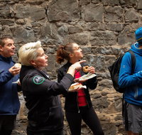 History  Donuts Walking Tour - Attractions Brisbane