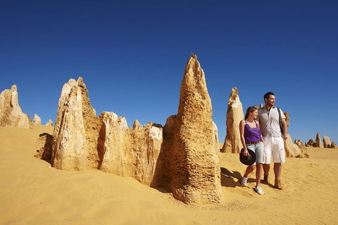 Pinnacles Day Trip From Perth Including Yanchep National Park - Attractions Brisbane 0