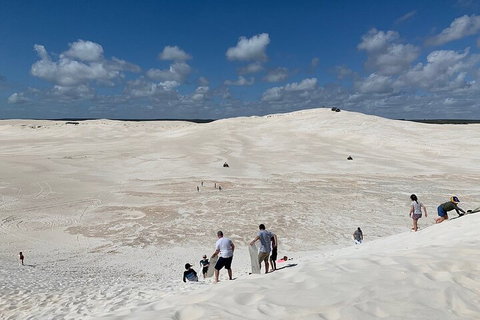 Pinnacles Day Trip From Perth Including Yanchep National Park - Attractions Brisbane 2
