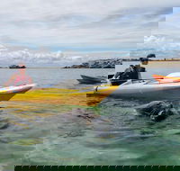 Seal Island and Penguin Island or Point Peron Sea Kayak Tour - Attractions Brisbane