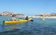 Seal Island And Penguin Island Or Point Peron Sea Kayak Tour - thumb 3