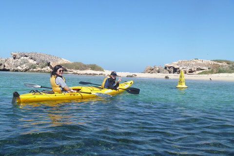 Seal Island And Penguin Island Or Point Peron Sea Kayak Tour - Attractions Brisbane 3