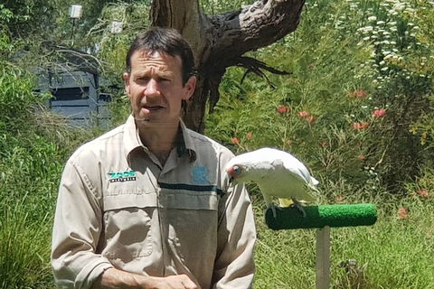 Healesville Sanctuary And Rayners Orchard Tour From Melbourne - Attractions Brisbane 0