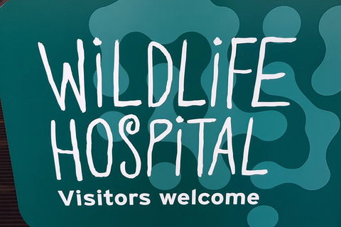 Healesville Sanctuary And Rayners Orchard Tour From Melbourne - Attractions Brisbane 1