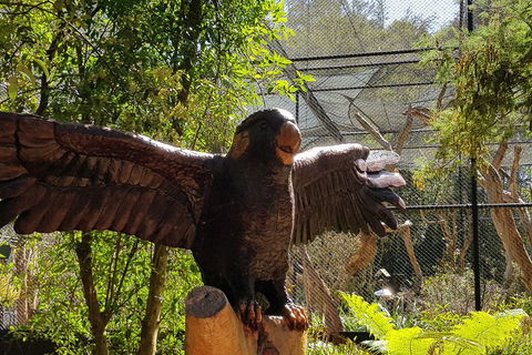 Healesville Sanctuary And Rayners Orchard Tour From Melbourne - Attractions Brisbane 2