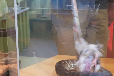 Healesville Sanctuary And Rayners Orchard Tour From Melbourne - Attractions Brisbane 4