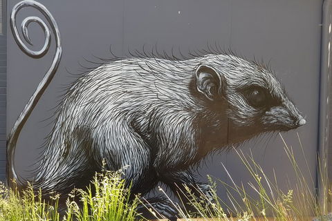 Healesville Sanctuary And Rayners Orchard Tour From Melbourne - Attractions Brisbane 5