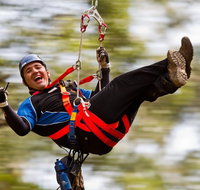 12 Apostles and Otway Fly Zipline Day Trip from Melbourne - Attractions Brisbane