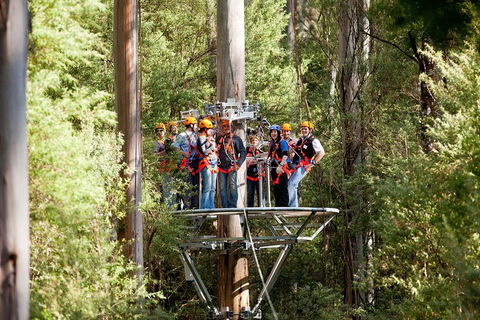 Adventure Sunset Three Day Great Ocean Road Tour - Attractions Brisbane 1