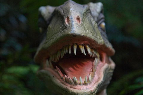 Adventure Sunset Three Day Great Ocean Road Tour - Attractions Brisbane 3