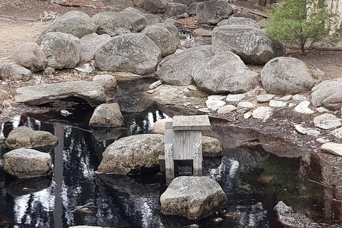 Bendigo, Echuca & The Mighty Murray - Attractions Brisbane 1