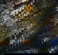 Ngilgi Cave Semi-guided Tour - Attractions Brisbane