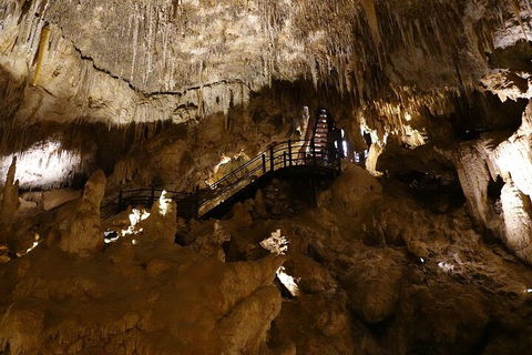 Ngilgi Cave Semi-guided Tour - Attractions Brisbane 2