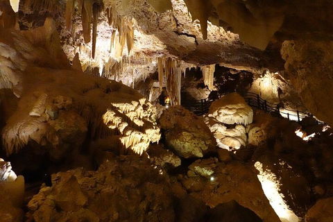 Ngilgi Cave Semi-guided Tour - Attractions Brisbane 3