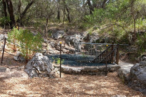 Ngilgi Cave Semi-guided Tour - Attractions Brisbane 4