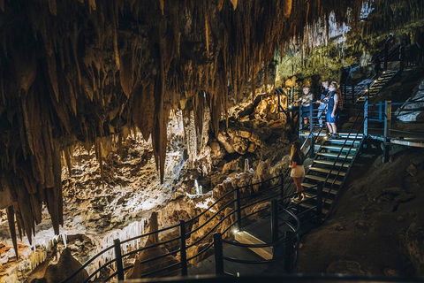 Ngilgi Cave Semi-guided Tour - Attractions Brisbane 5