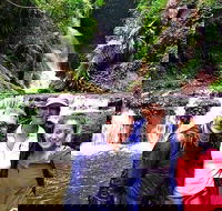Exclusive Private Tour - Design your own - Attractions Brisbane