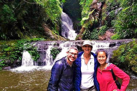 Exclusive Private Tour - Design Your Own - Attractions Brisbane 0