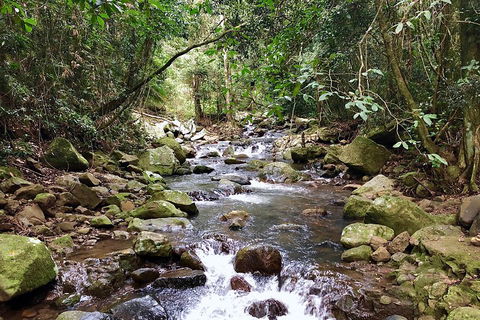 Exclusive Private Tour - Design Your Own - Attractions Brisbane 1