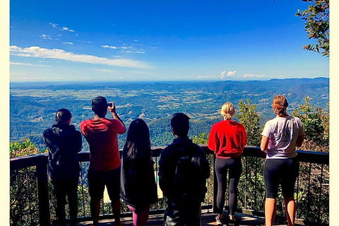 Exclusive Private Tour - Design Your Own - Attractions Brisbane 2