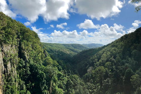 Exclusive Private Tour - Design Your Own - Attractions Brisbane 3
