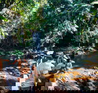 Aquaduck  Your choice of Gold Coast Rainforest Tour - Attractions Brisbane