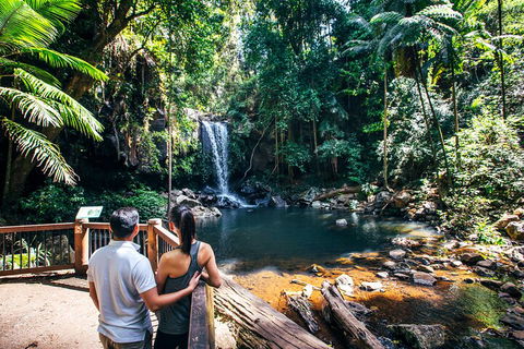 Aquaduck & Your Choice Of Gold Coast Rainforest Tour - Attractions Brisbane 0