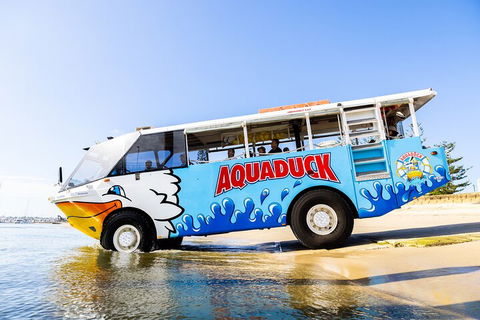 Aquaduck & Your Choice Of Gold Coast Rainforest Tour - Attractions Brisbane 3