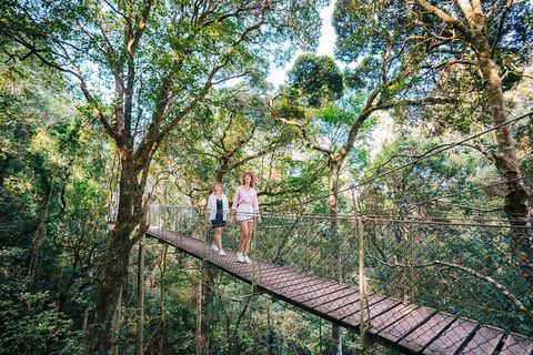 Aquaduck & Your Choice Of Gold Coast Rainforest Tour - Attractions Brisbane 4