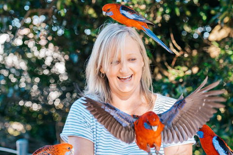 Aquaduck & Your Choice Of Gold Coast Rainforest Tour - Attractions Brisbane 5