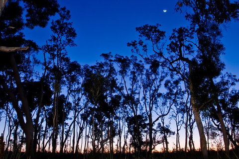 Small-Group Kangaroo Island 4WD Night Tour - Attractions Brisbane 2