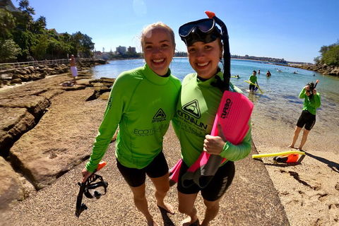 Manly Snorkel Trip And Nature Walk With Local Guide - Attractions Brisbane 1